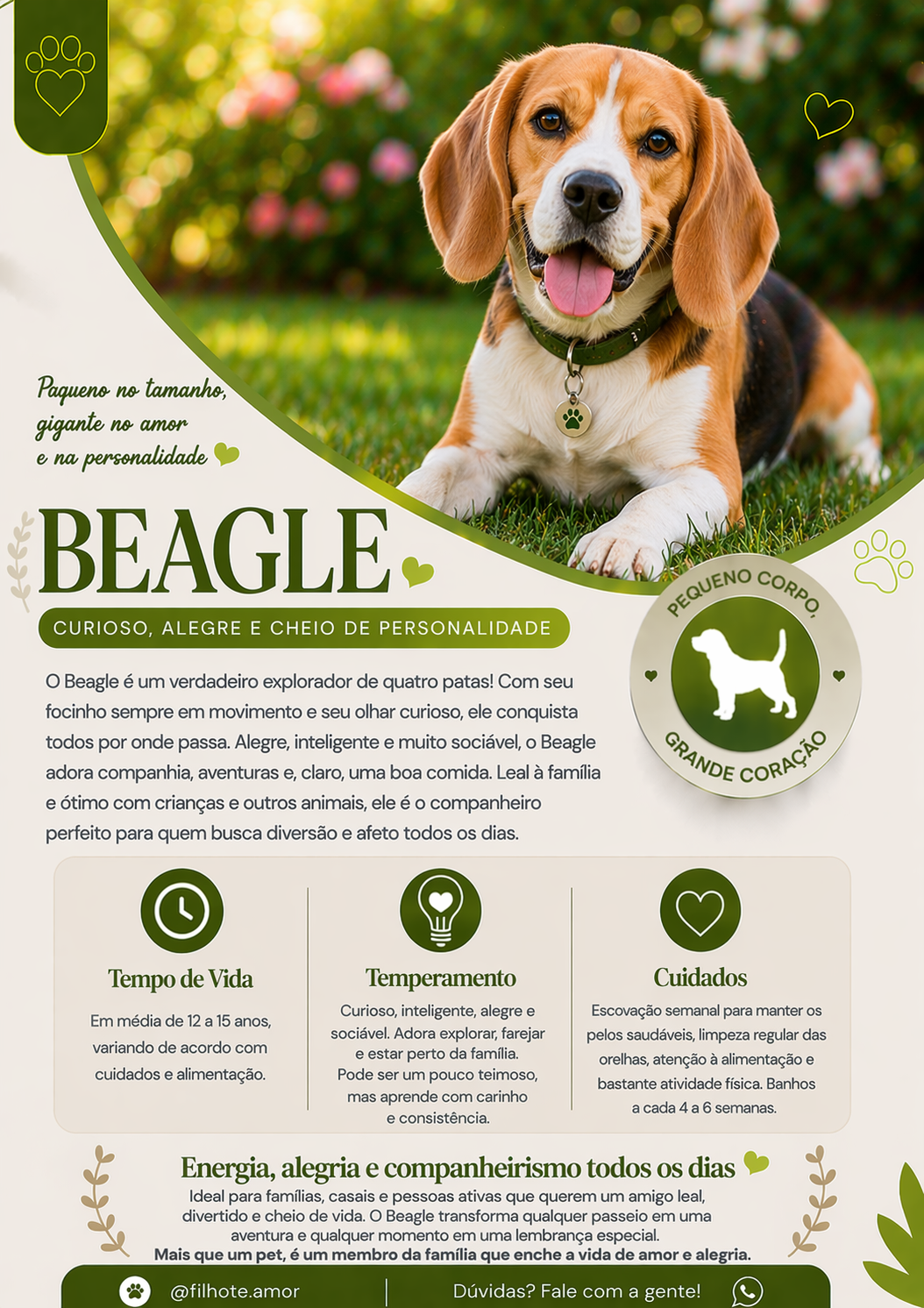 Beagle