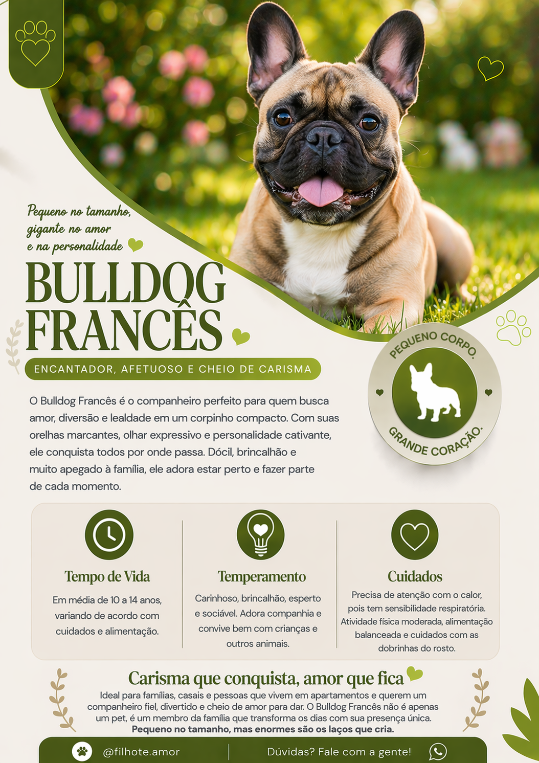 Bulldog francês