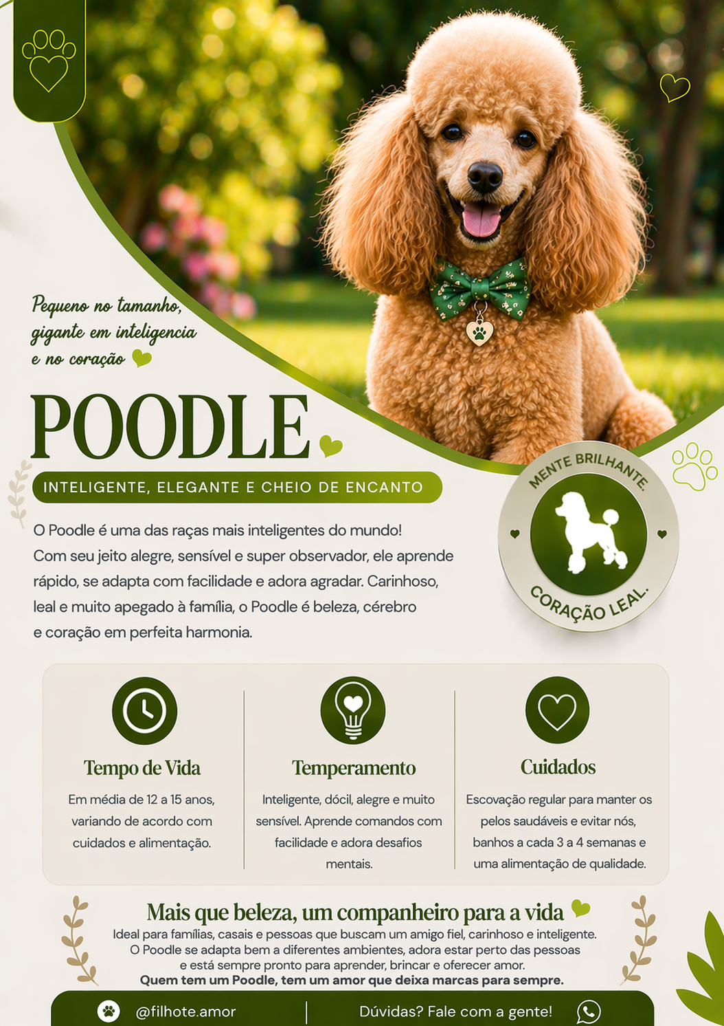 Poodle