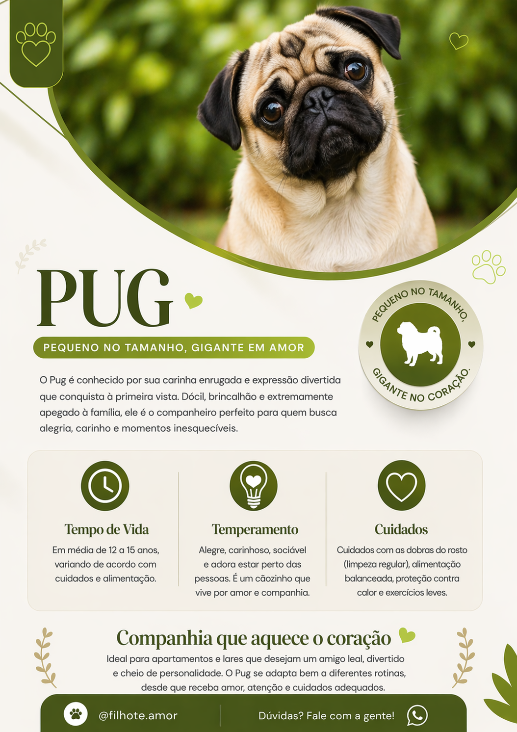 Pug